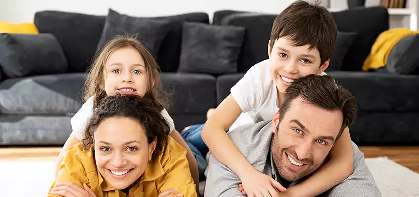 Mold Stain Remover for Wood in Franconia, NH