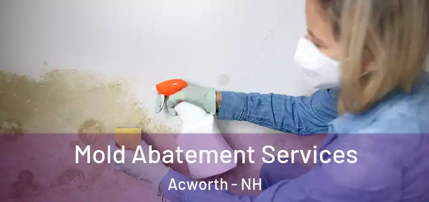  Mold Abatement Services Acworth - NH