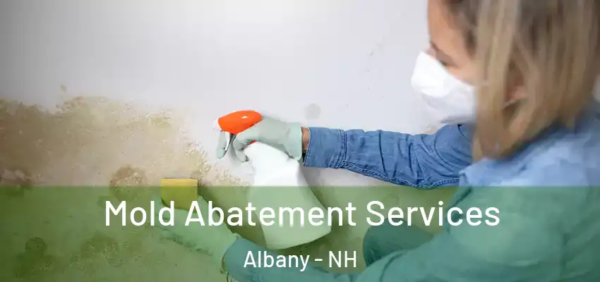  Mold Abatement Services Albany - NH