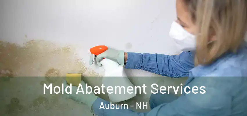  Mold Abatement Services Auburn - NH