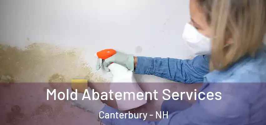  Mold Abatement Services Canterbury - NH