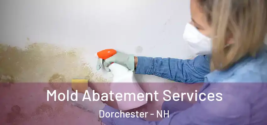  Mold Abatement Services Dorchester - NH