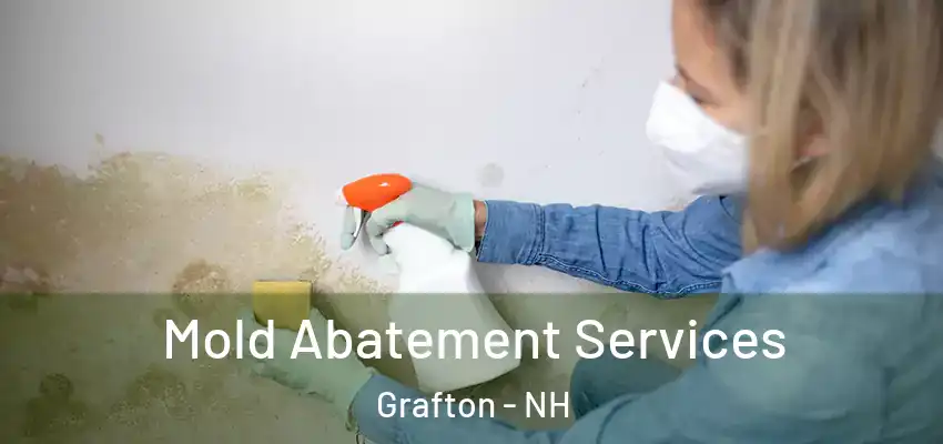Mold Abatement Services Grafton - NH