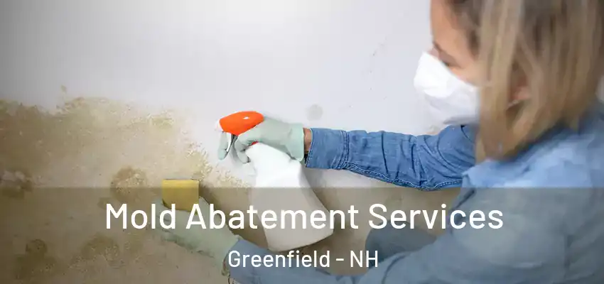  Mold Abatement Services Greenfield - NH