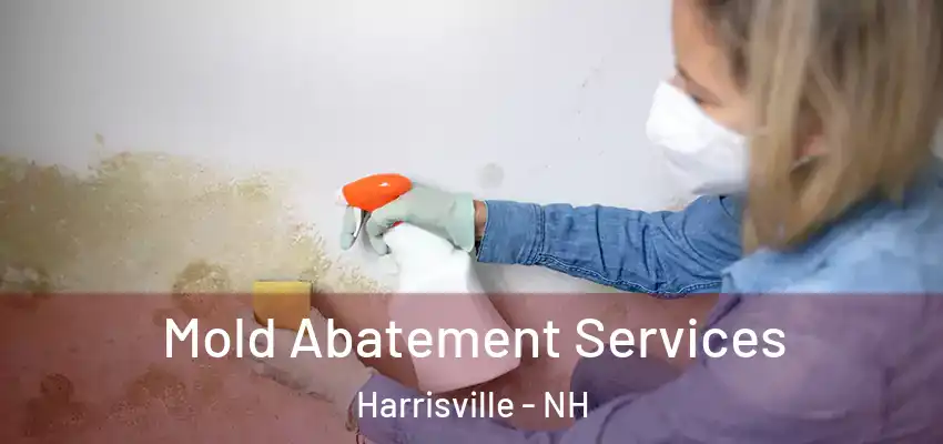  Mold Abatement Services Harrisville - NH