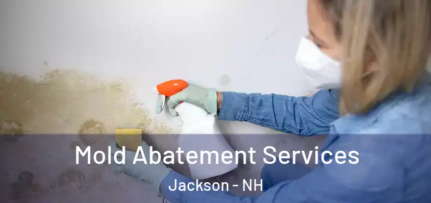Mold Abatement Services Jackson - NH