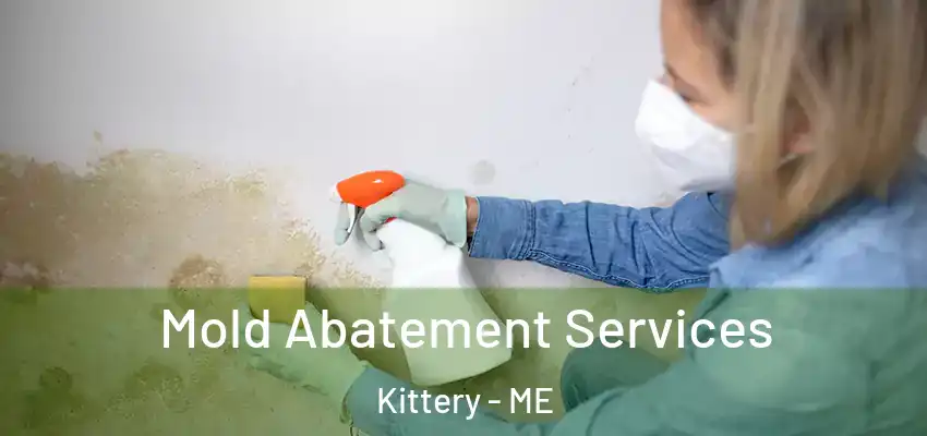  Mold Abatement Services Kittery - ME