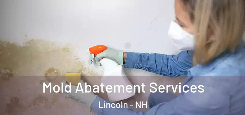 Mold Abatement Services Lincoln - NH