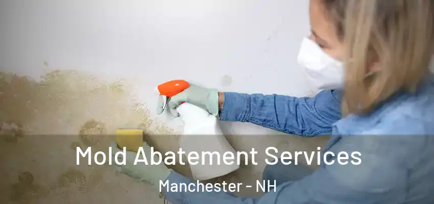  Mold Abatement Services Manchester - NH