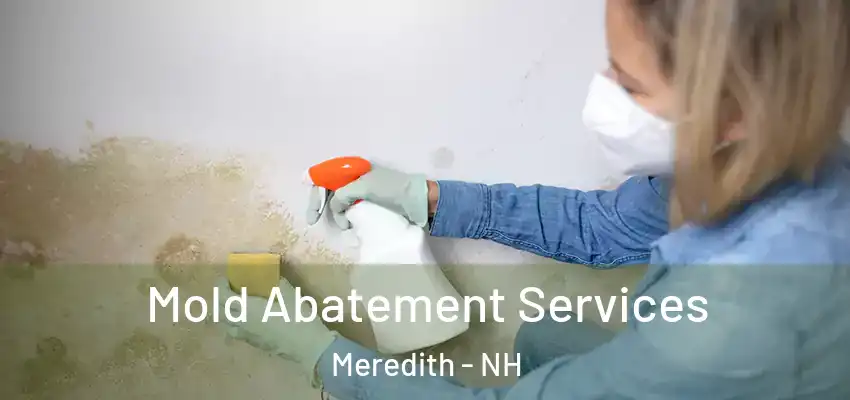 Mold Abatement Services Meredith - NH