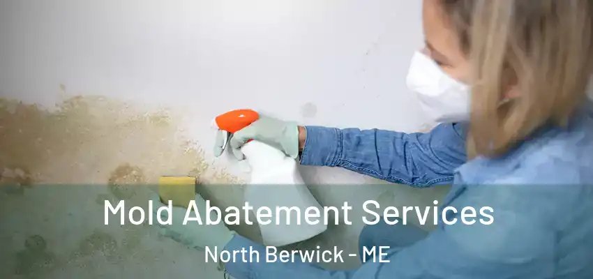  Mold Abatement Services North Berwick - ME