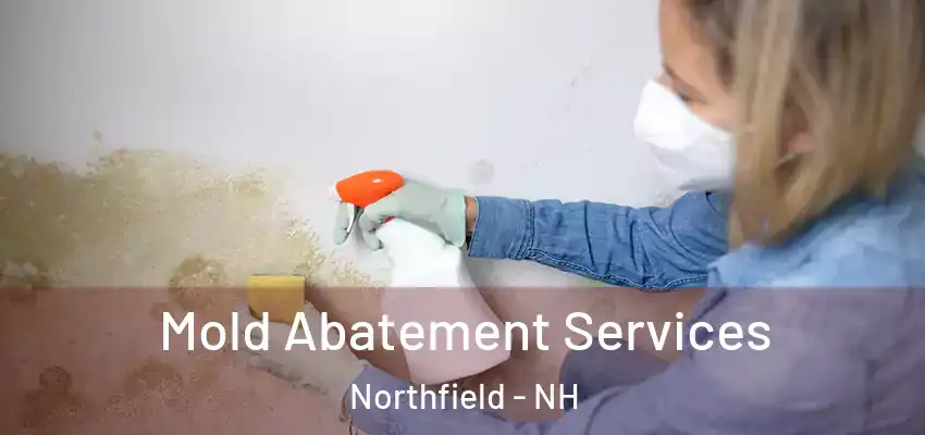  Mold Abatement Services Northfield - NH