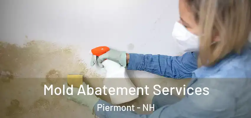  Mold Abatement Services Piermont - NH