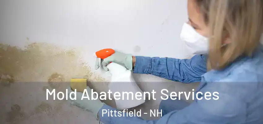  Mold Abatement Services Pittsfield - NH