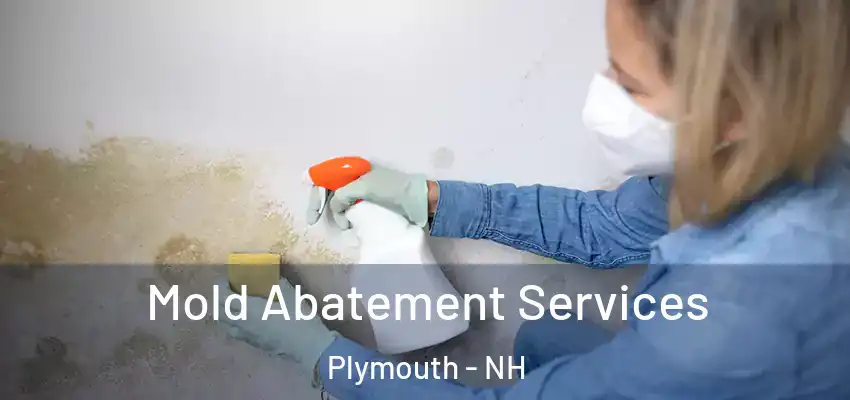 Mold Abatement Services Plymouth - NH