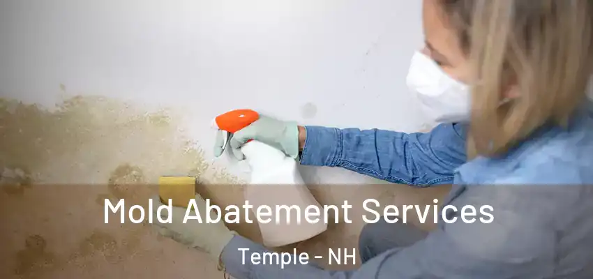  Mold Abatement Services Temple - NH