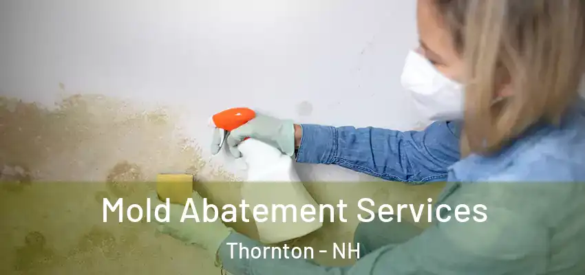  Mold Abatement Services Thornton - NH