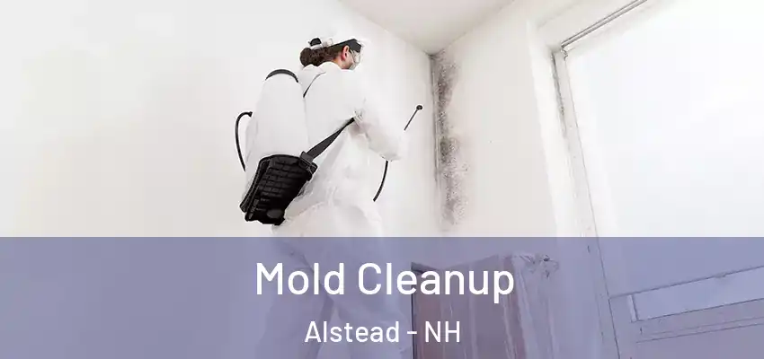 Mold Cleanup Alstead - NH