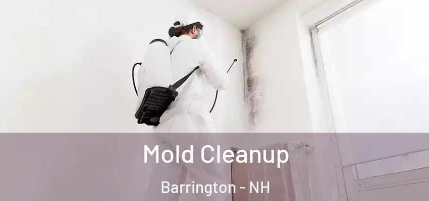 Mold Cleanup Barrington - NH