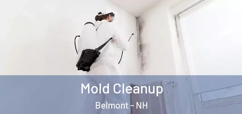 Mold Cleanup Belmont - NH