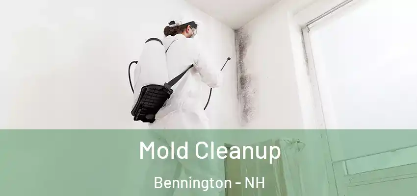  Mold Cleanup Bennington - NH