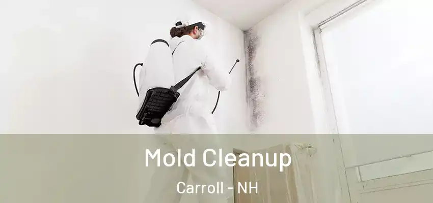 Mold Cleanup Carroll - NH