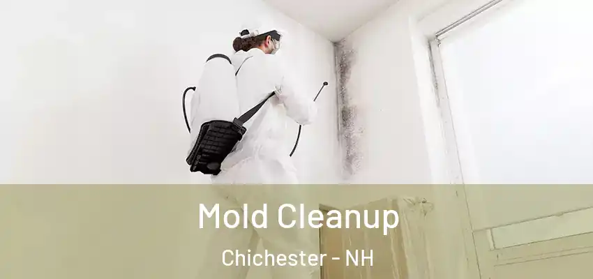  Mold Cleanup Chichester - NH