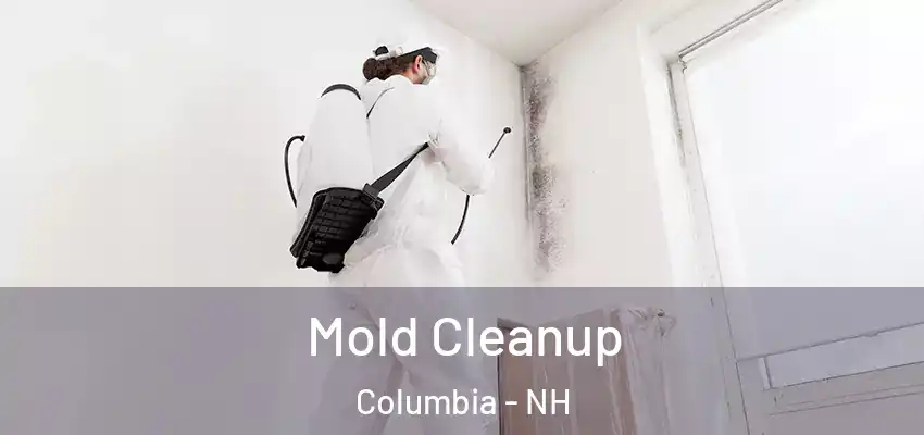 Mold Cleanup Columbia - NH