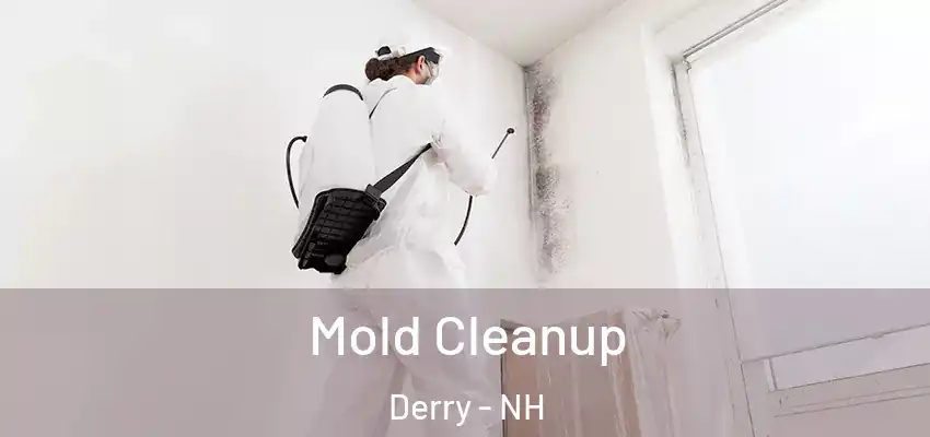  Mold Cleanup Derry - NH