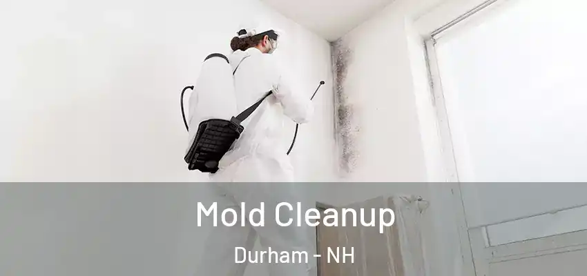  Mold Cleanup Durham - NH
