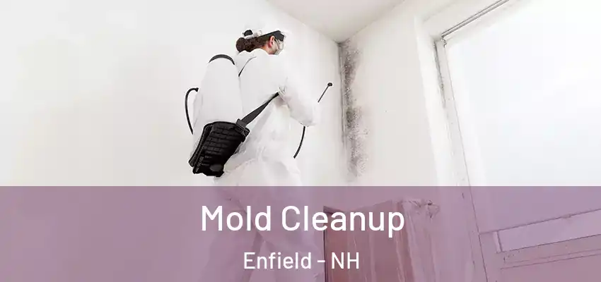 Mold Cleanup Enfield - NH