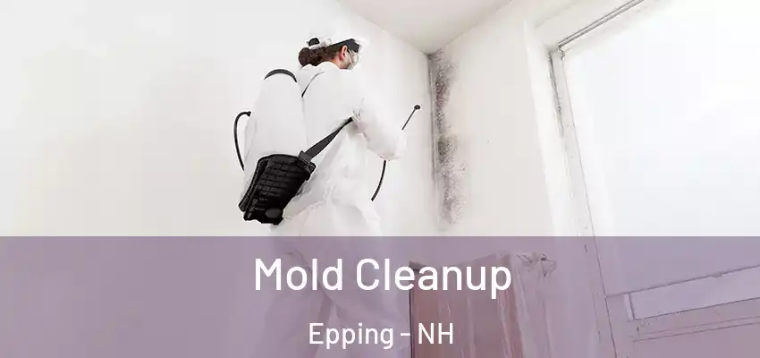  Mold Cleanup Epping - NH