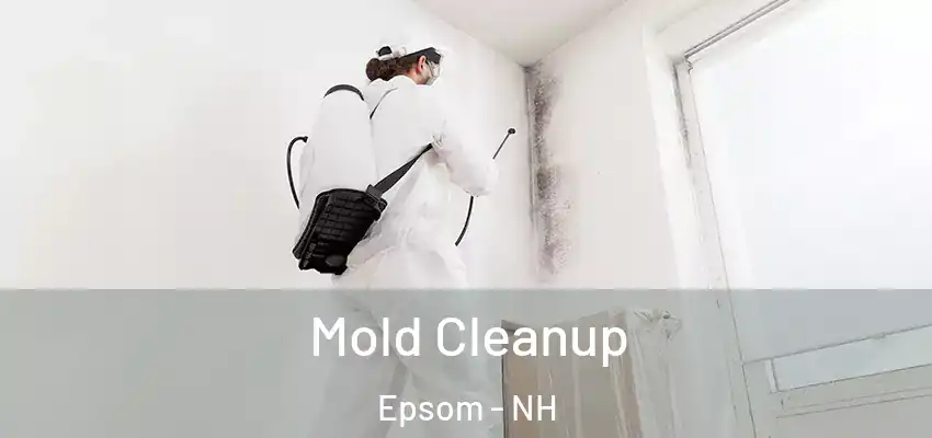  Mold Cleanup Epsom - NH