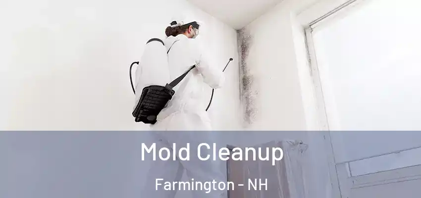  Mold Cleanup Farmington - NH