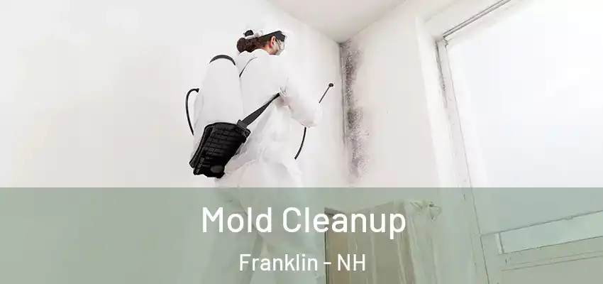  Mold Cleanup Franklin - NH