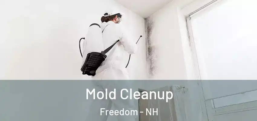 Mold Cleanup Freedom - NH
