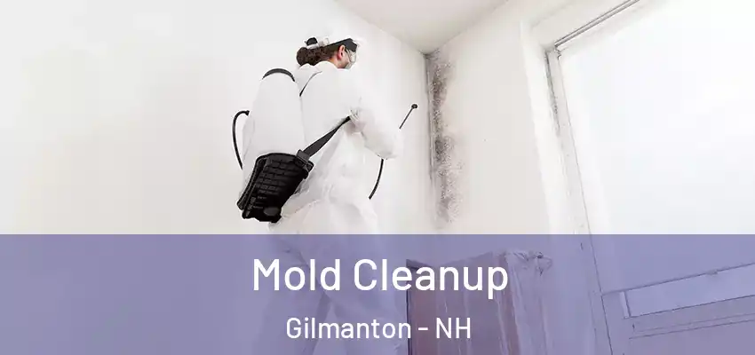  Mold Cleanup Gilmanton - NH