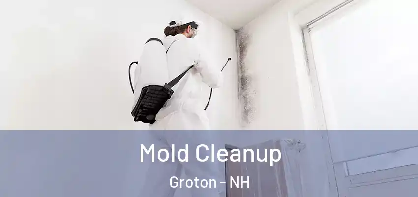 Mold Cleanup Groton - NH