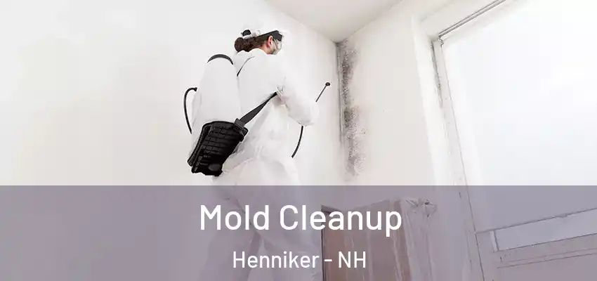  Mold Cleanup Henniker - NH