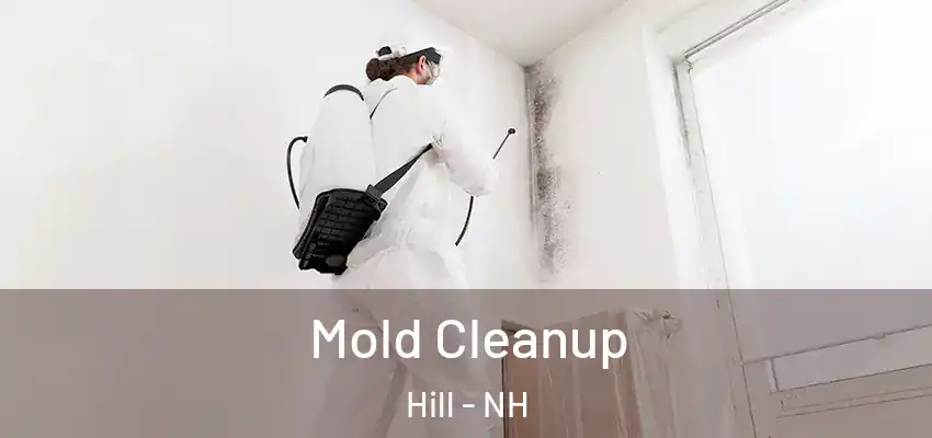 Mold Cleanup Hill - NH
