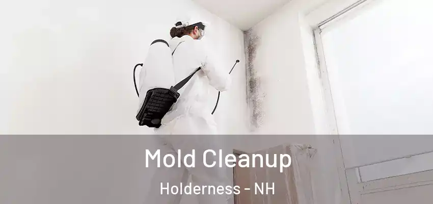 Mold Cleanup Holderness - NH