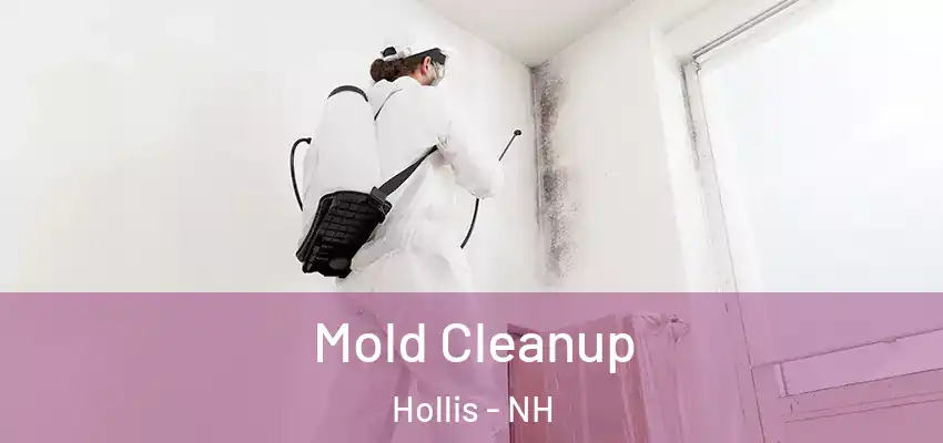  Mold Cleanup Hollis - NH
