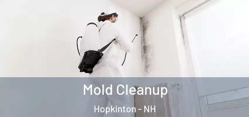 Mold Cleanup Hopkinton - NH