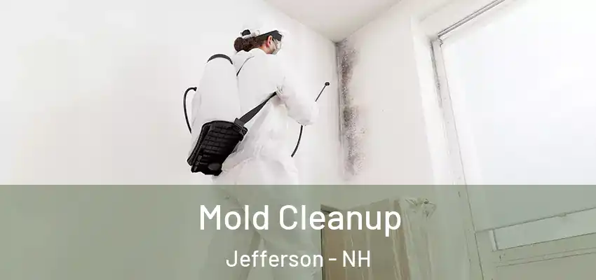 Mold Cleanup Jefferson - NH