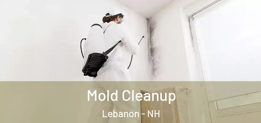 Mold Cleanup Lebanon - NH