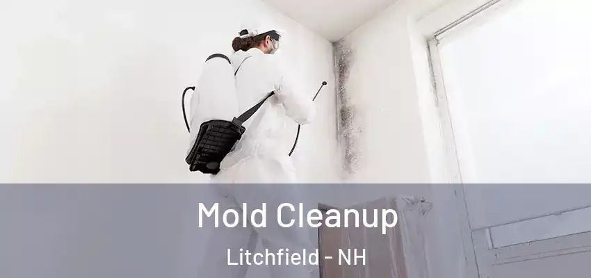  Mold Cleanup Litchfield - NH