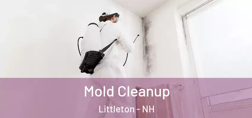  Mold Cleanup Littleton - NH