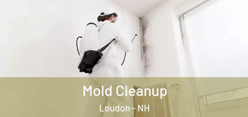  Mold Cleanup Loudon - NH