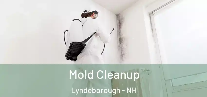  Mold Cleanup Lyndeborough - NH