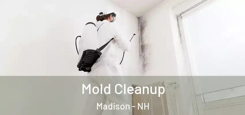 Mold Cleanup Madison - NH